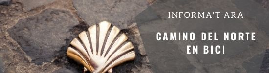 Oferta Camino del Norte en bici organizado