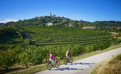 Ruta en bici por Eslovenia