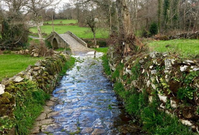 El Camino en Melide, La Coruña. 