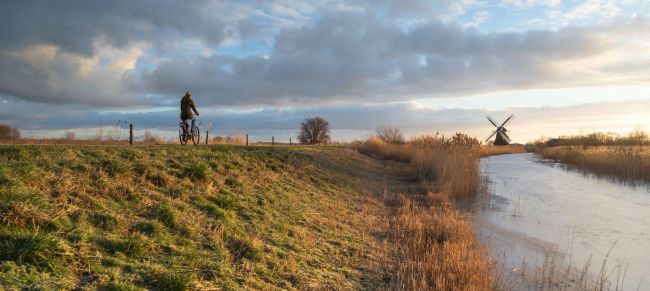bici holanda con niños