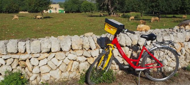 Cicloturismo por Mallorca