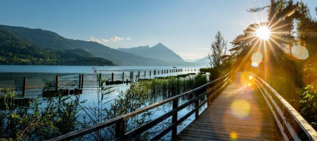 Camino de senderismo por el Lago Thun