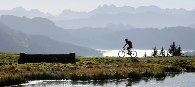 La ruta del Rin en bici
