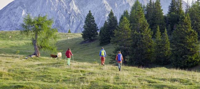 Caminando por el Tirol