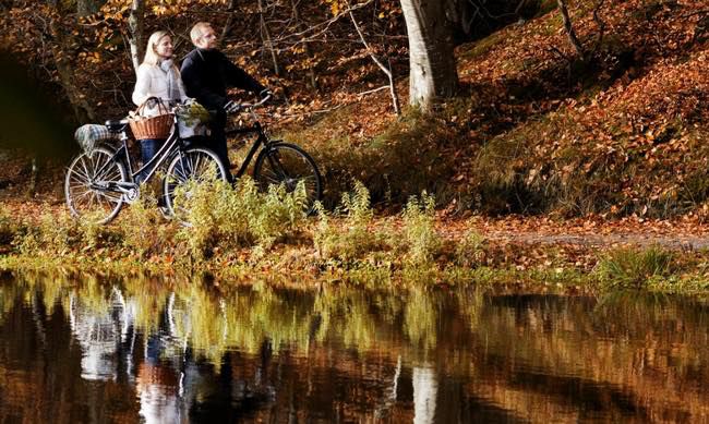 Rutas en bici para todo tipo de usuario
