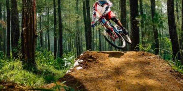 L'apogeu dels Bike Parks